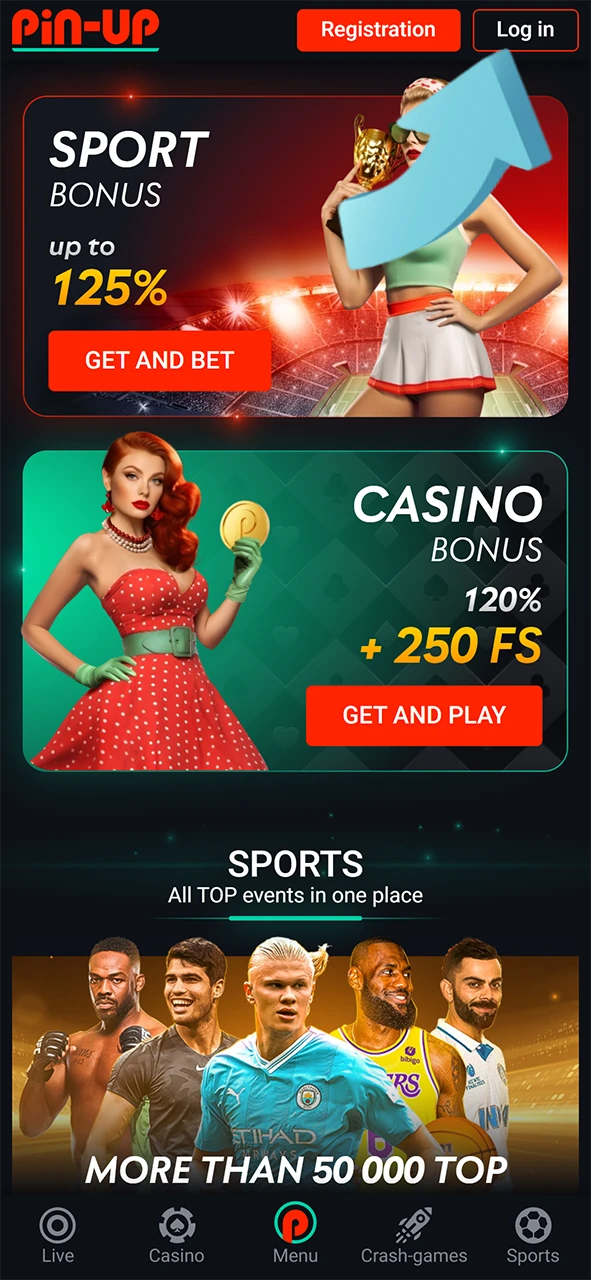 Visit the Pin-Up Casino website and log in.